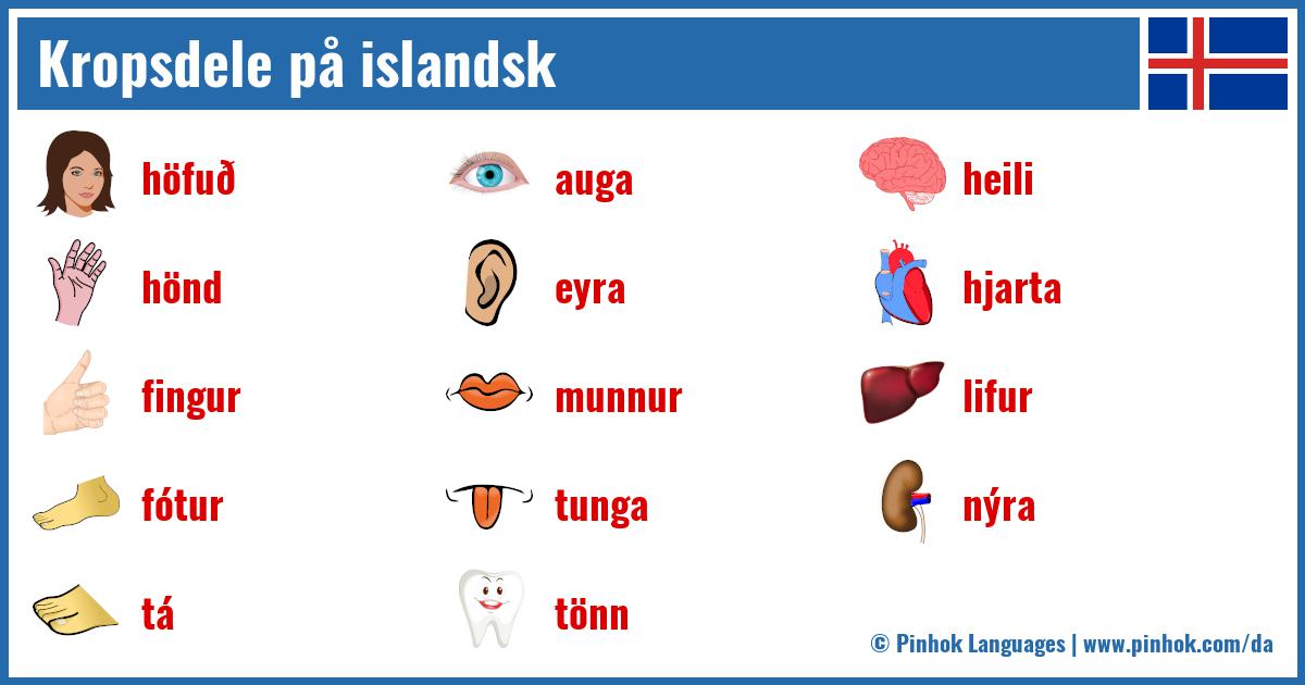 Kropsdele på islandsk