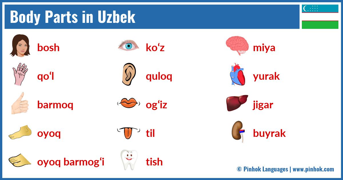 Body Parts in Uzbek