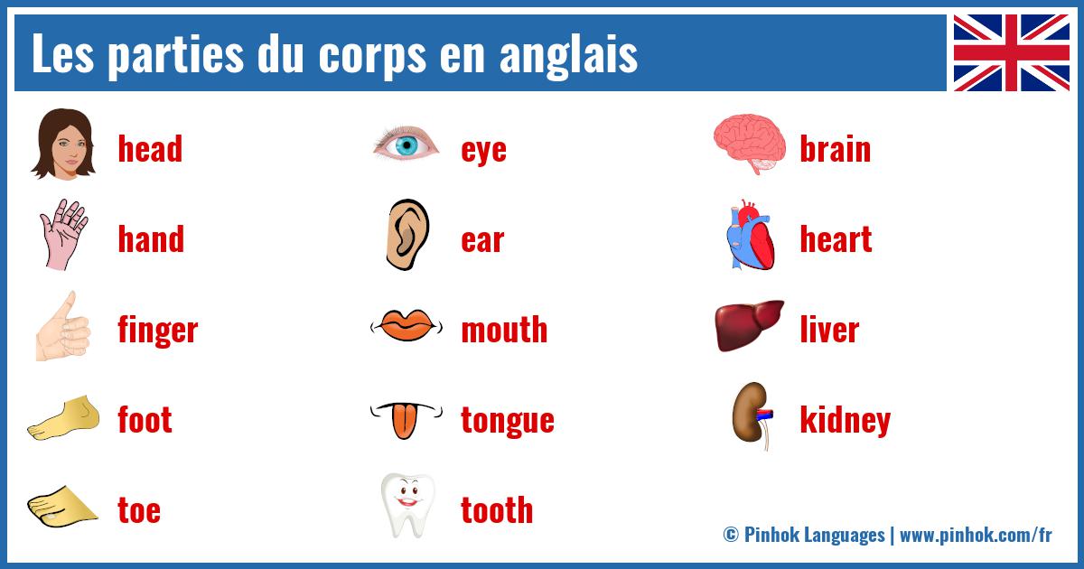 Les parties du corps en anglais