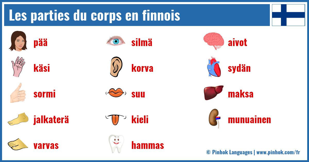 Les parties du corps en finnois