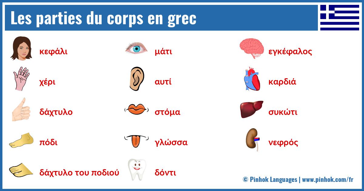 Les parties du corps en grec