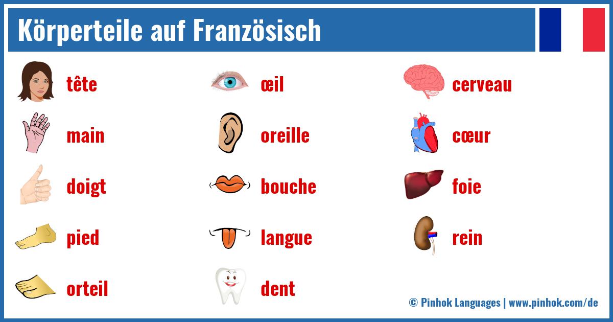 Körperteile auf Französisch