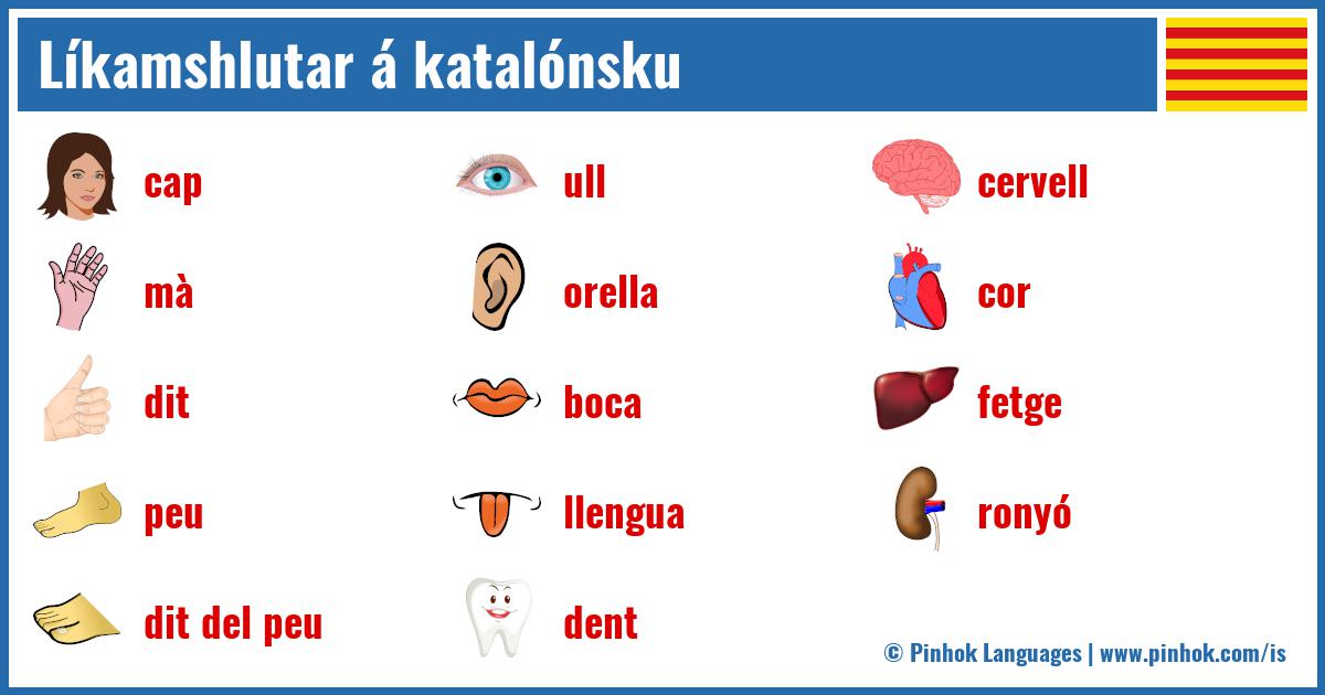 Líkamshlutar á katalónsku