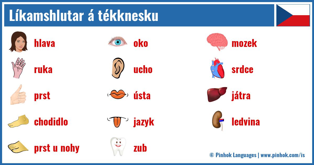 Líkamshlutar á tékknesku