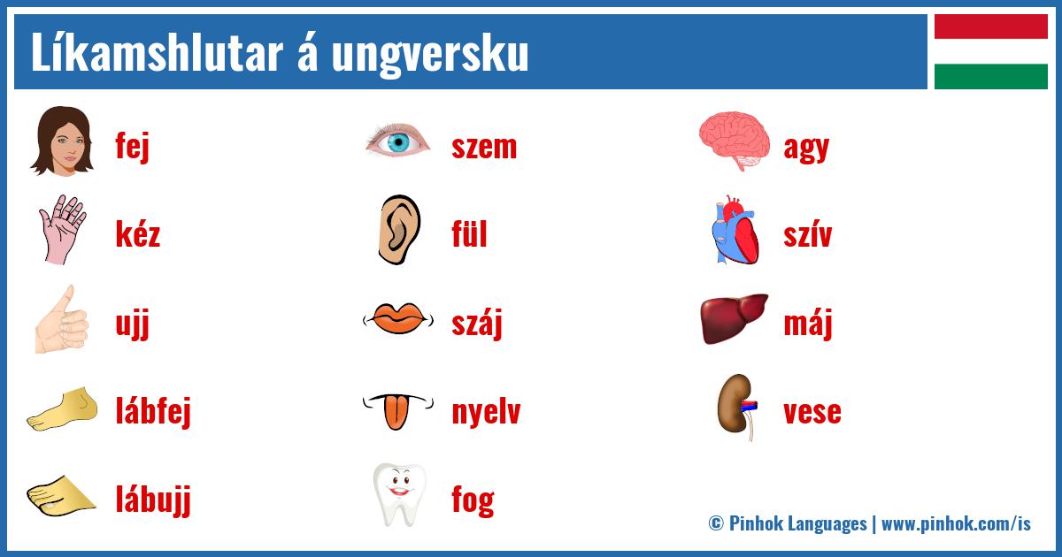 Líkamshlutar á ungversku