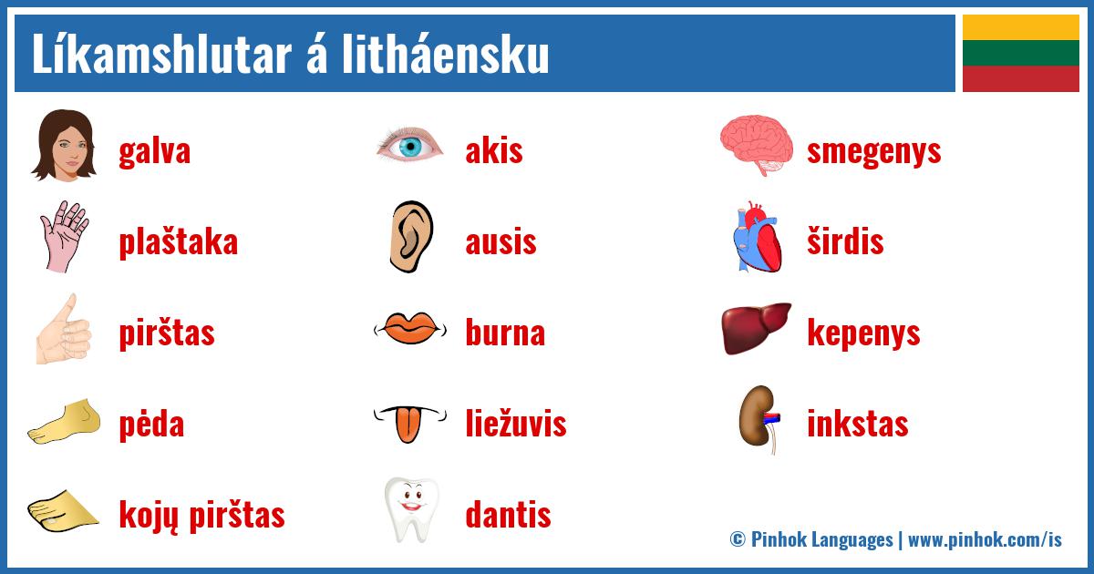 Líkamshlutar á litháensku