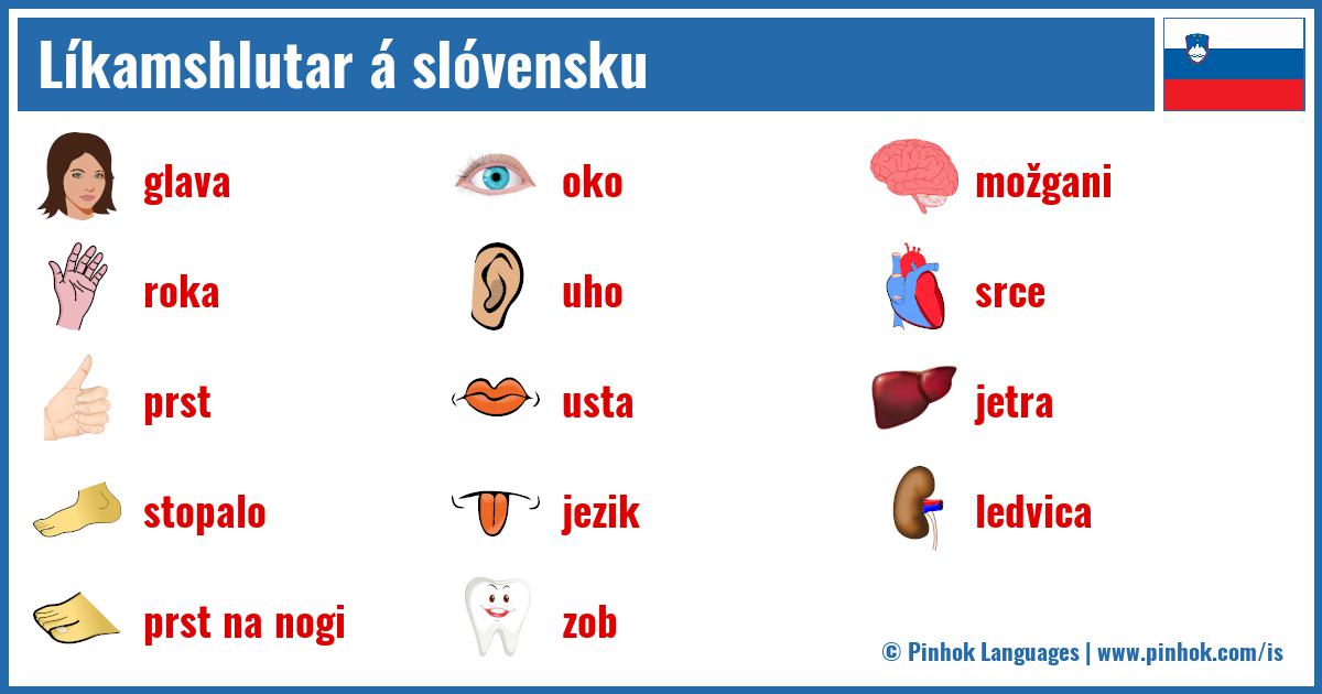 Líkamshlutar á slóvensku