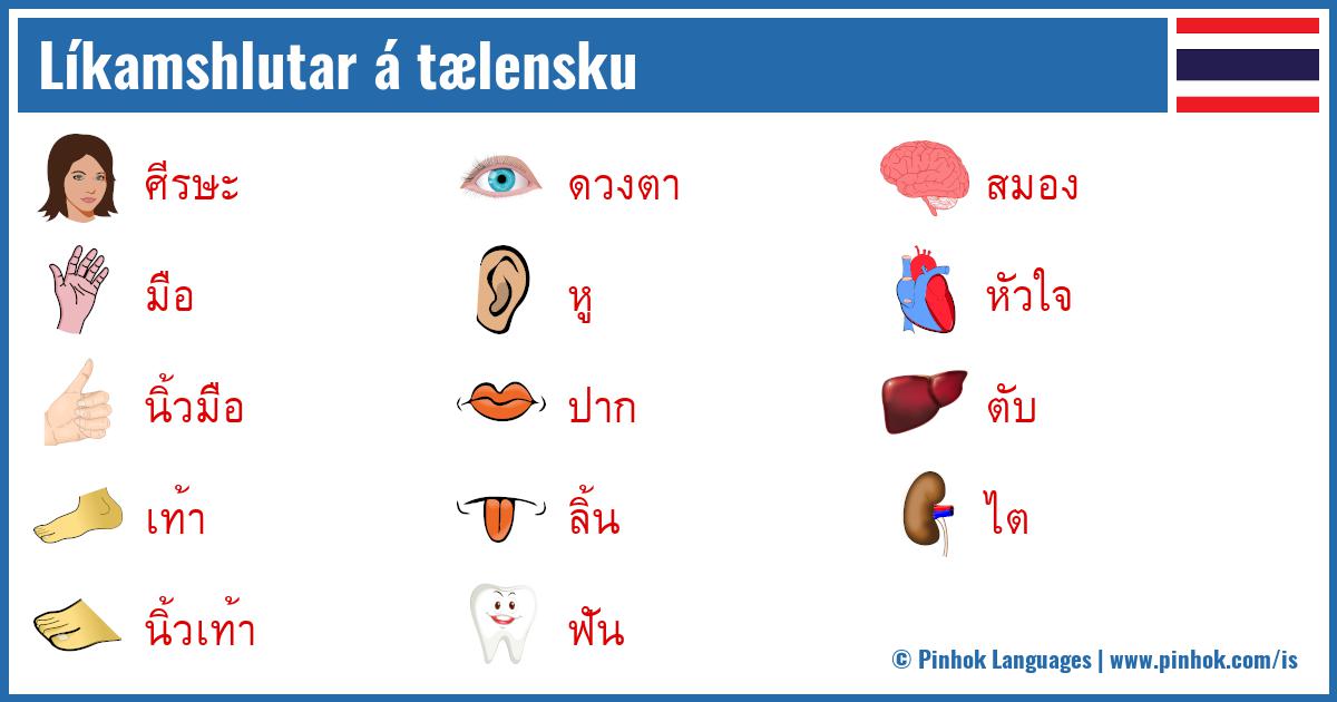 Líkamshlutar á tælensku