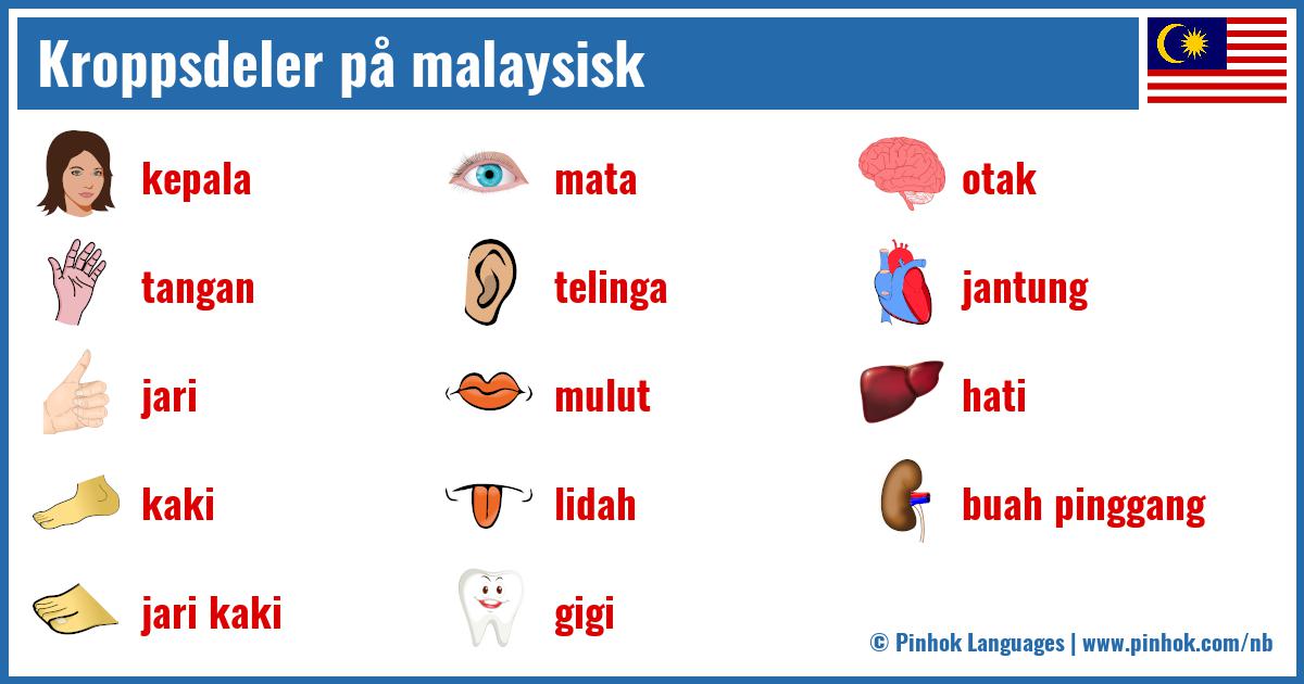 Kroppsdeler på malaysisk