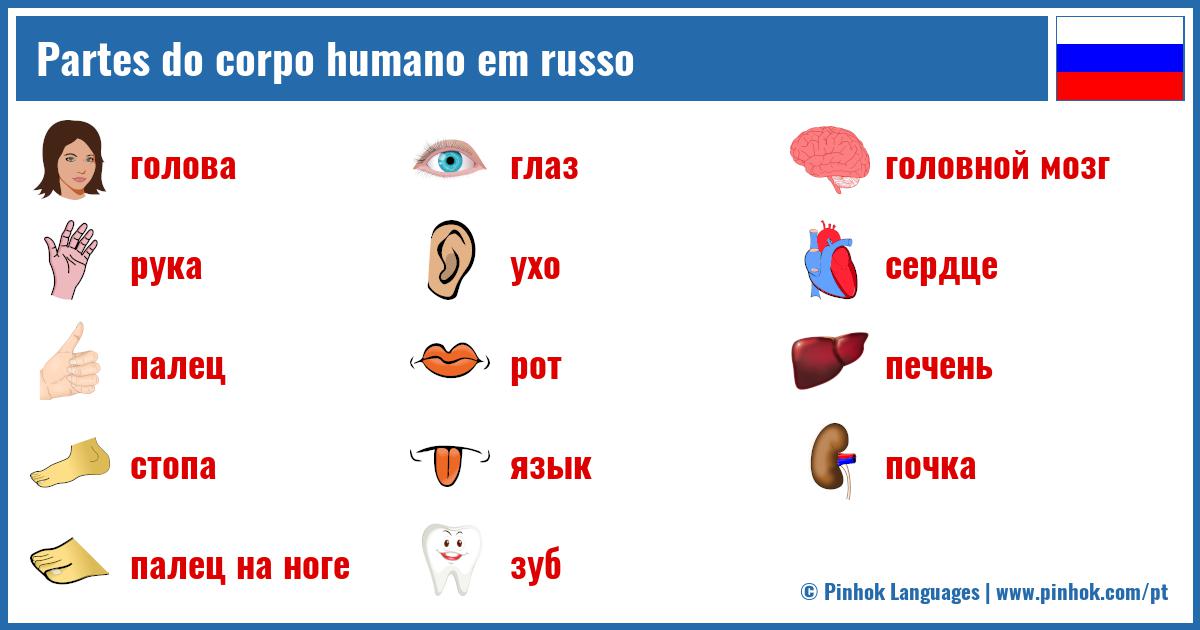 Partes do corpo humano em russo