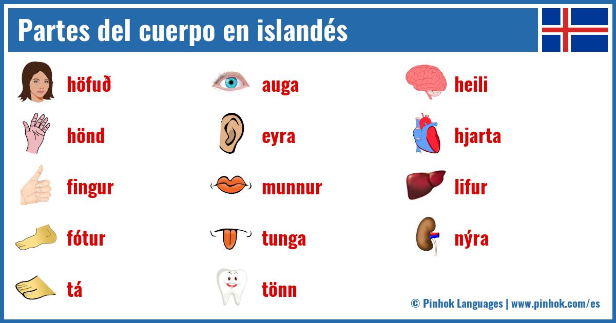 Partes del cuerpo en islandés