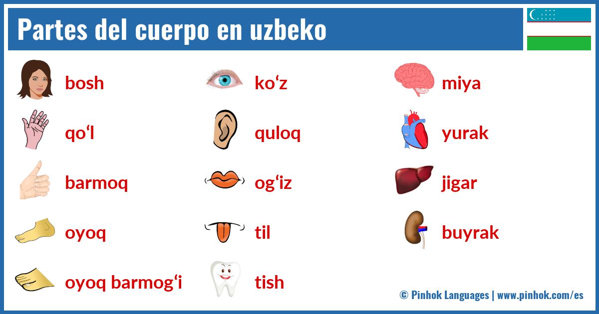 Partes del cuerpo en uzbeko