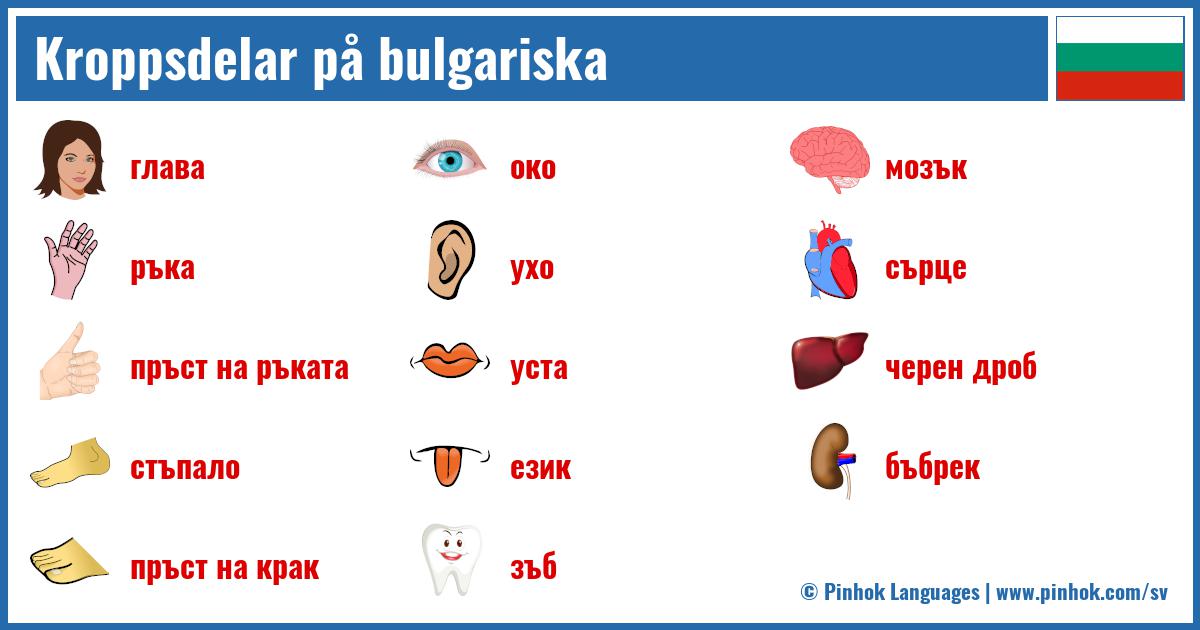 Kroppsdelar på bulgariska